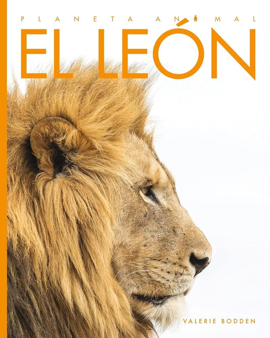 El león / Lions (Planeta anima l/ Amazing Animals) (Spanish Edition) cover image