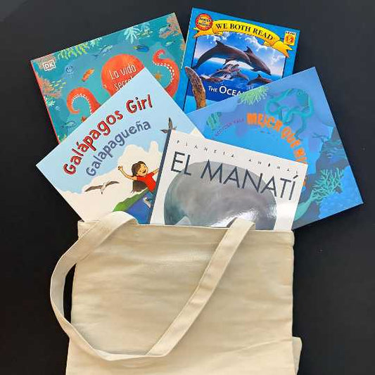 Summer Book Bags (Spanish - Bilingual)